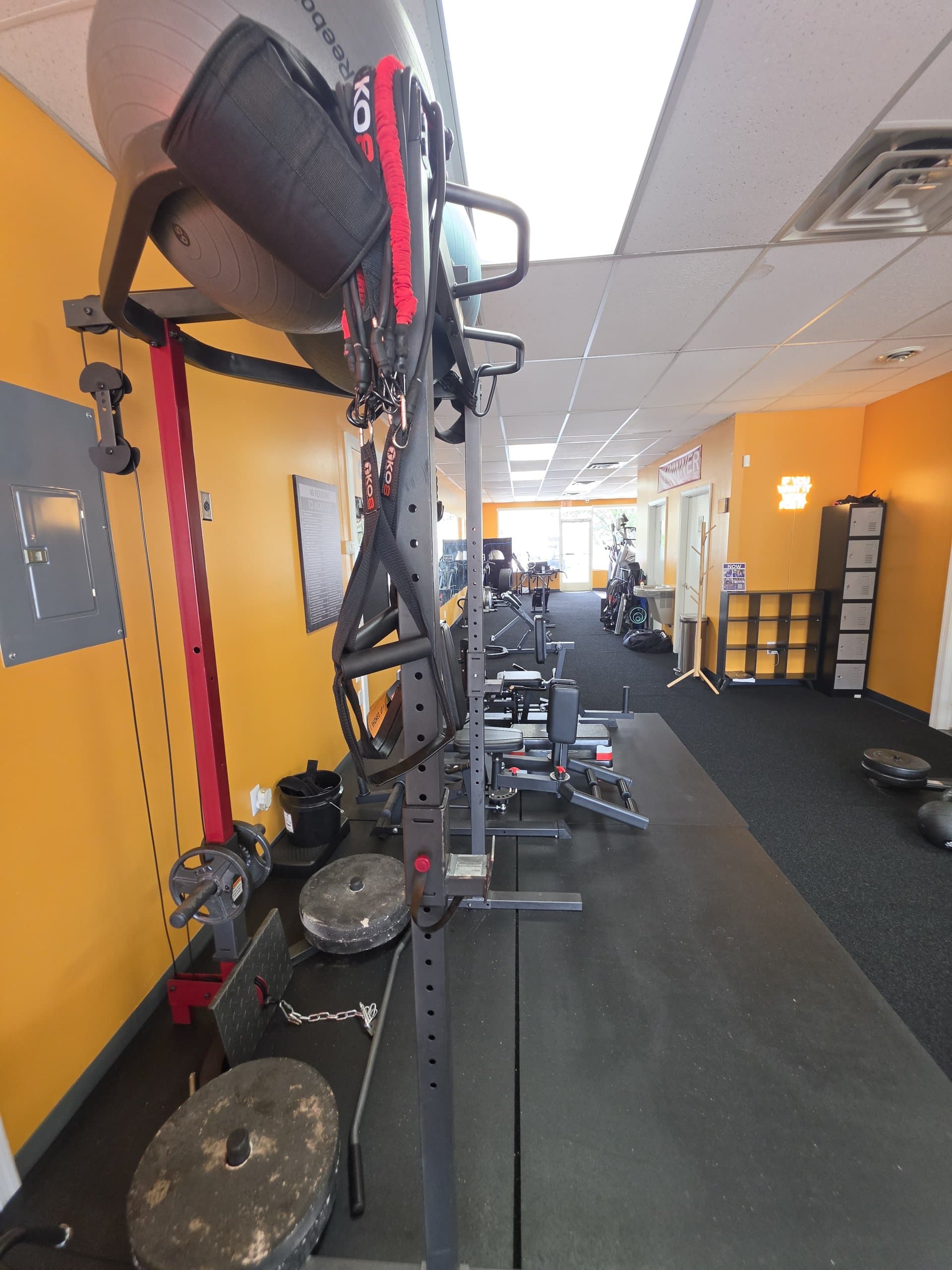 Squat rack and weight plates at DScottsFitCamp in Newport News